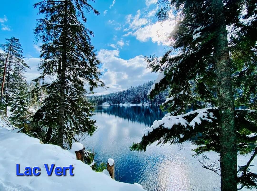 Gite Au Petit Verger Masevaux-Niederbruck Екстер'єр фото