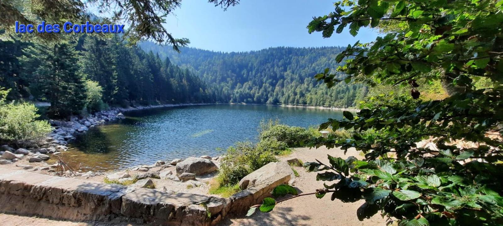 Gite Au Petit Verger Masevaux-Niederbruck Екстер'єр фото